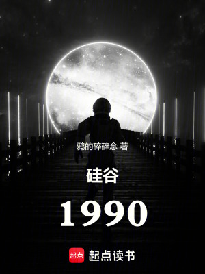 硅谷1990